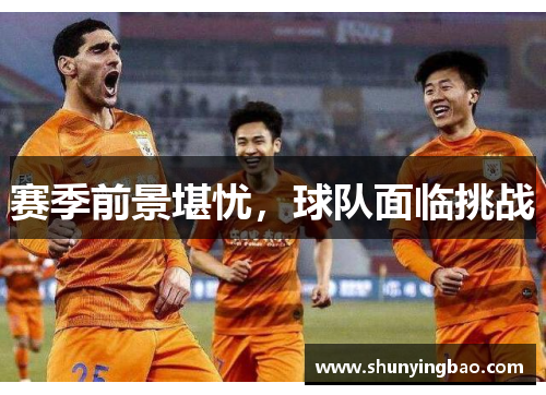赛季前景堪忧，球队面临挑战